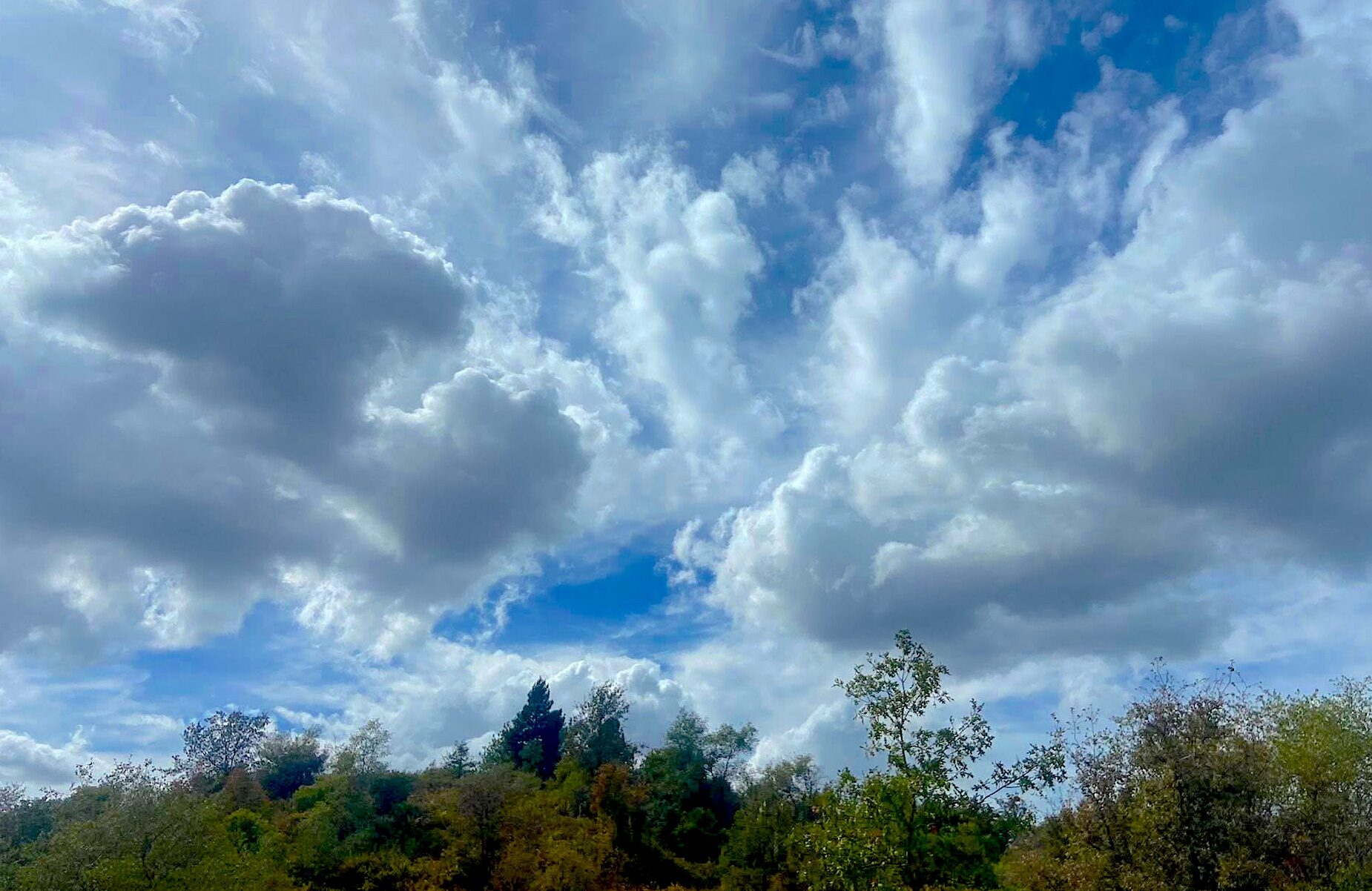 Living in two worlds, liberation, Ouspensky, Fellowship of Friends