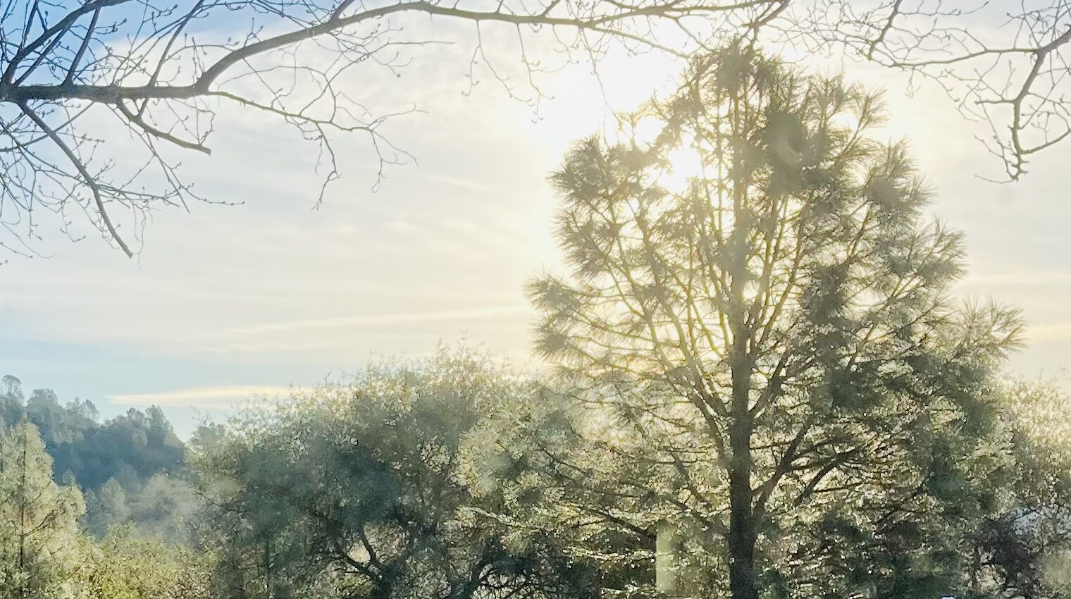 The light, Living in Two Worlds, Fellowship of Friends, FourthWayToday