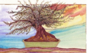 Natassa Cavalli, FourthWayToday, Forms of Love, Conscious Love